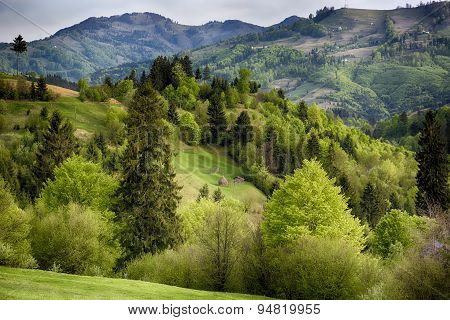 Pale of light. Morning on mountain hills. Holbav