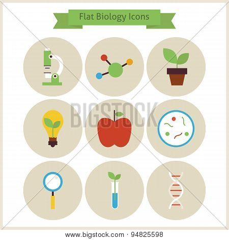 Flat School Biology And Science Icons Set