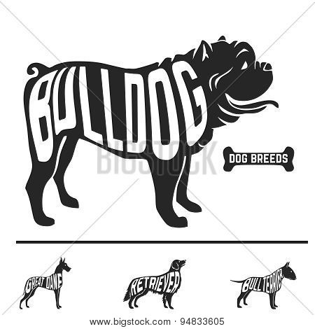 Isolated dog breed silhouettes set with names of breeds inside on white baclground.
