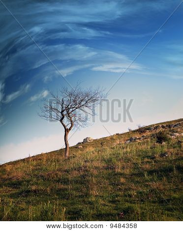 strom