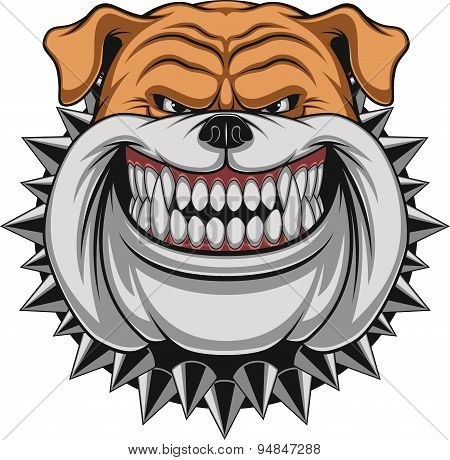 Angry dog