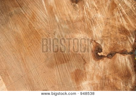 Schnittholz Tree Trunk Detail
