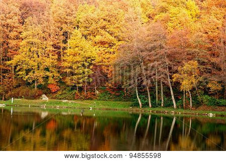 Lake In Autumn