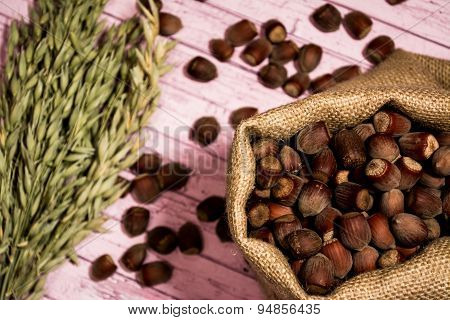hazelnuts with oats