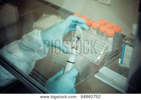 Laboratory Technician Working With Multiwell Pipette