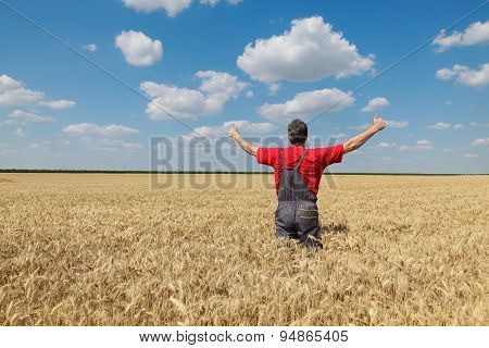 Agricultural Scene, Happy Farmer In Wheat Field