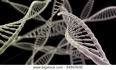 Dna Chains Close Up On The Black Background