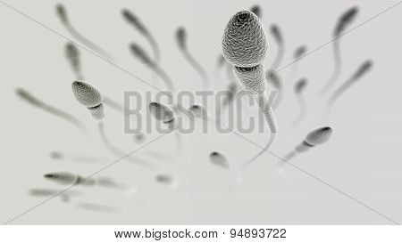 Sperm Macro On Light Background