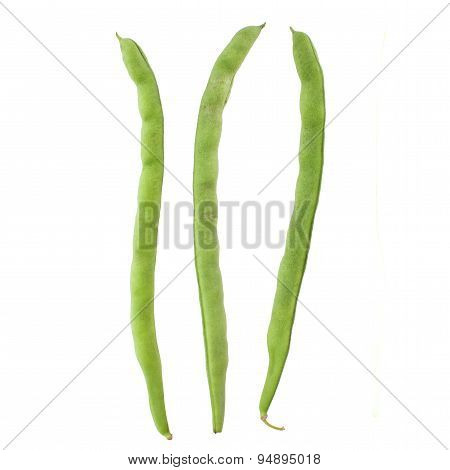 Fresh yardlong bean