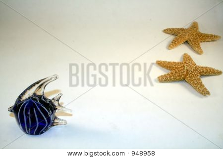 Fish N Stars