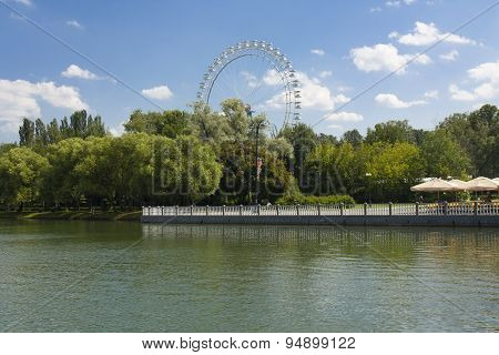 People Rest In Park Izmaylovsky