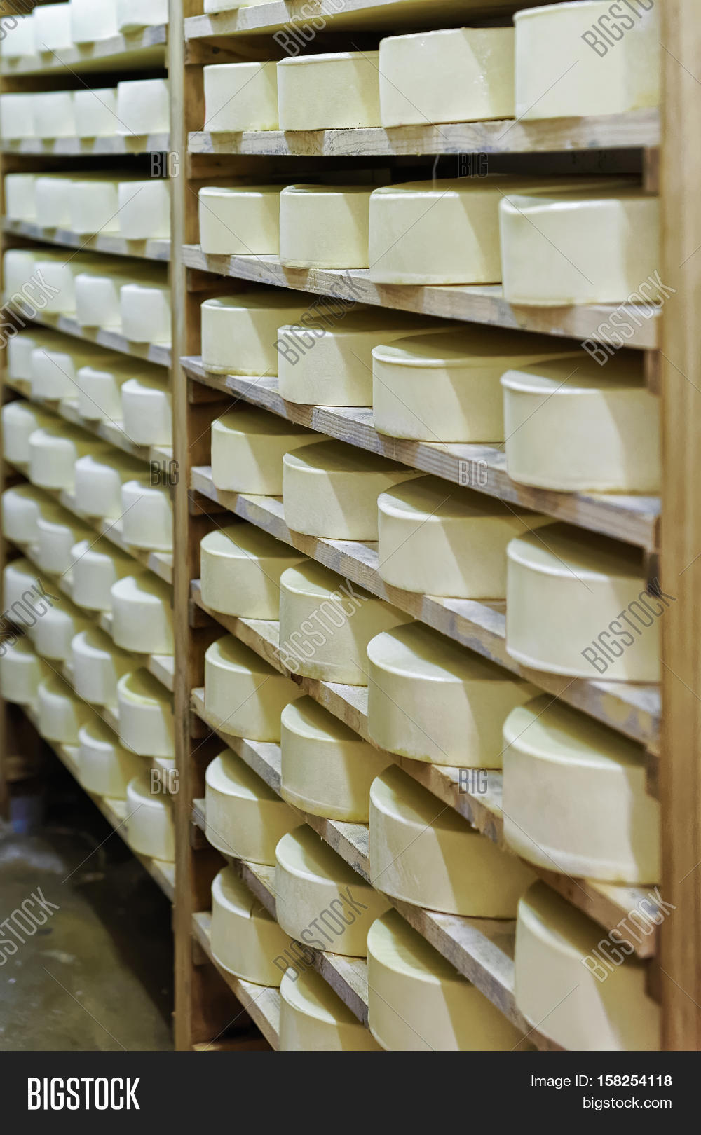 Shelves Young Cheese Image & Photo (Free Trial) Bigstock
