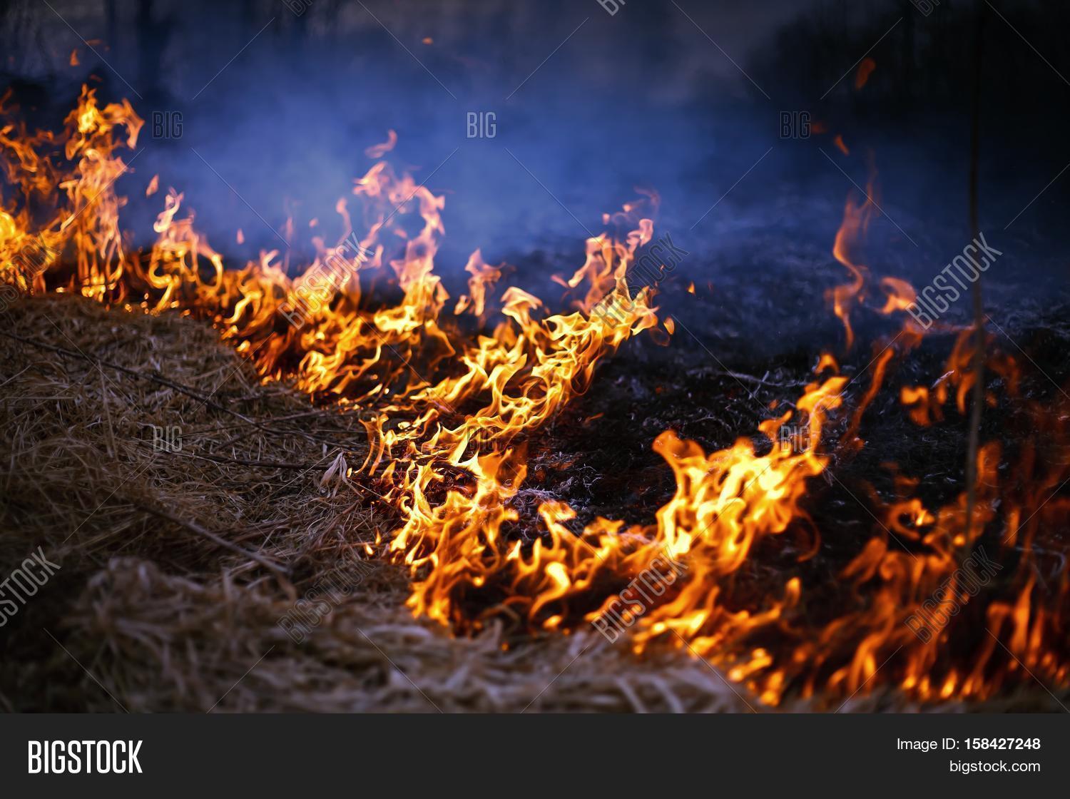 Fire In Spring Spring Fire. Burning Image & Photo (Free Trial) | Bigstock