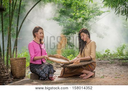 Beautiful Thai Asian Women Winnow Rice Separate Between Rice And Rice Chaff Identity . In Traditiona