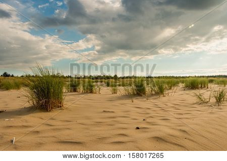 Sandy beach with dunes and blue sky with several clouds