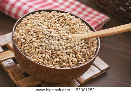Spelt grain (dinkel wheat) in wooden bowl