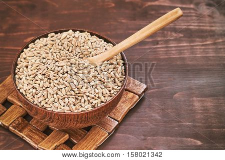 Spelt grain (dinkel wheat) in wooden bowl. Copy space