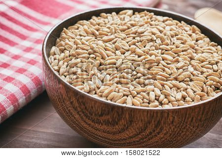 Spelt grain (dinkel wheat) in wooden bowl