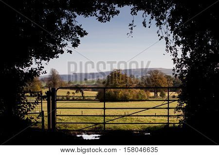 View over British Countryside with a Farm Gate and silouhette of leaves