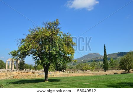 Classical greek landscape alone tree on a green lawn mountain and ruins of the temple of Zeus near ancient Nemea Peloponnese Greece