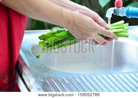 People washing vegetables in kitchen sink at morning.