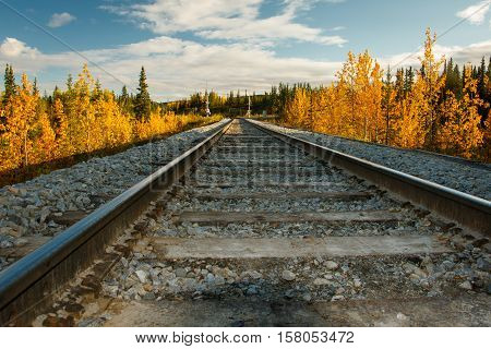 Autumn view of railway in Denali Np, Alaska