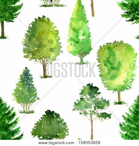 seamless pattern with watercolor deciduous trees, pines and firs, bushes and grass, abstract nature background, forest template, green foliage and plants, hand drawn illustration