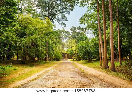 Road Through Rainforest In Angkor Wat. Siem Reap, Cambodia
