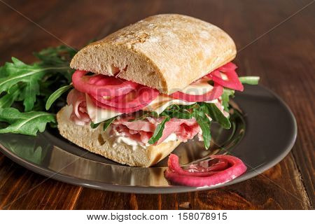 Tasty Italian Ciabata Sandwich