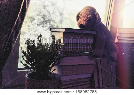 Vintage background for children. Childhood memory: Teddy dog sitting on books. Books stacked on the windowsill