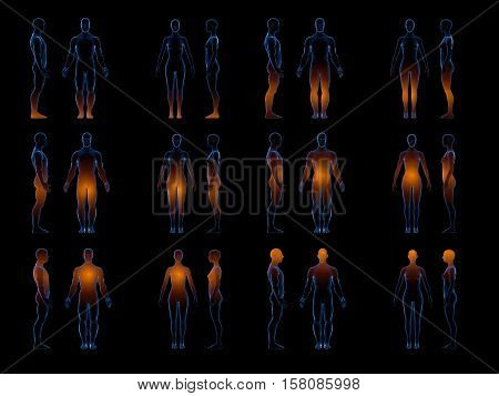 X ray human male female body. Anatomy concept. Isolate, 3d render.