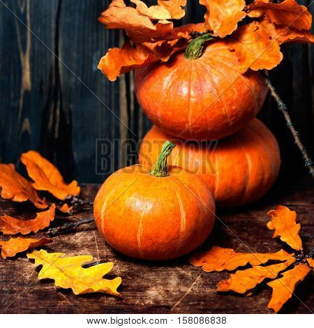 Autumn Pumpkin Thanksgiving Background - orange pumpkins over wooden table