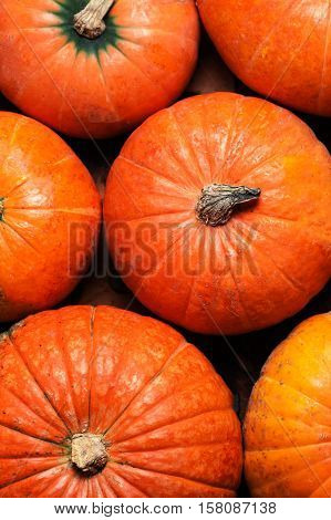 Autumn Pumpkin Thanksgiving Background - orange pumpkins over wooden table