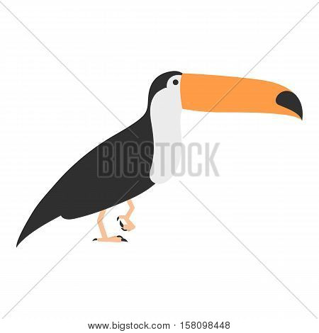 flat bird isolated on white background, beautiful vector illustration ramphastos toco, toco toucan