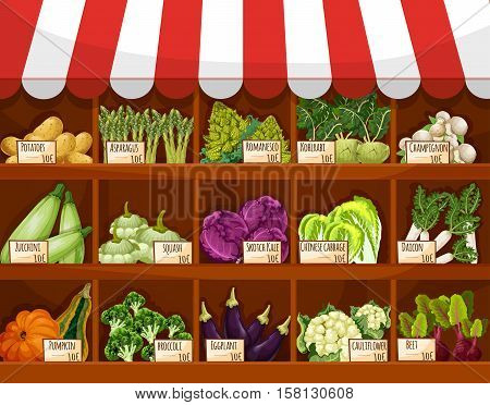 Vegetable market stall with fresh veggies. Broccoli and cabbage, eggplant, potato, mushroom, beet, zucchini and kohlrabi, asparagus, cauliflower, daikon vegetables on stand with price labels