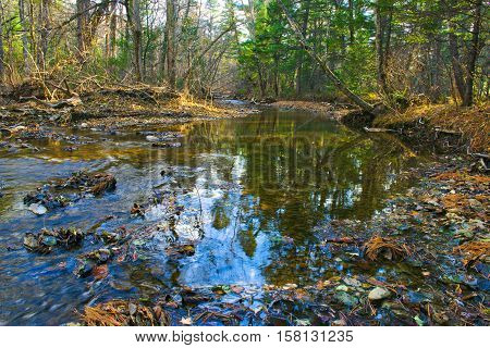 Creek in The Forest - wild nature - autumn in taiga