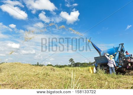 Farmers harvested grain used to massage the original version.