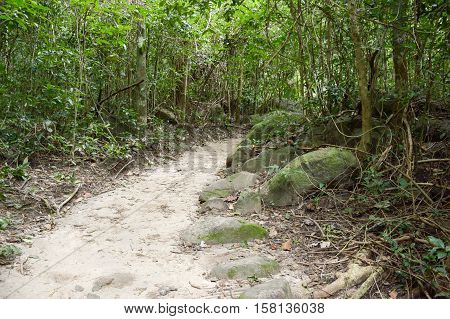 nature walkway in Khao Chamao , Rayong , Thailand