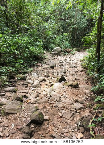 nature walkway in Khao Chamao , Rayong , Thailand