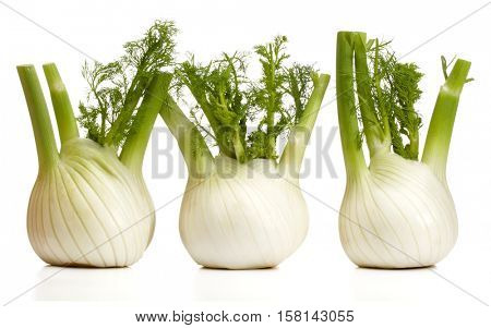 Fresh fennel bulb isolated on white background close up