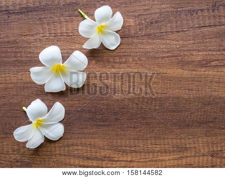 Frangipani plumeria Spa Flower on the wooden
