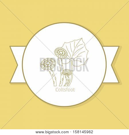 Coltsfoot medicine plant, yellow label design in circle shape and flat shadow. Vector illustration