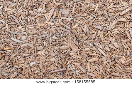 Mixed wood abstract background in the park