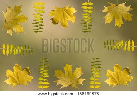 Fall Frame Concept