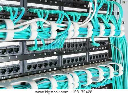 Server rack with blue internet patch cord cables connected to patch panel in server room
