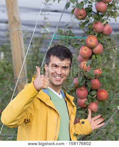Engineer In Orchard