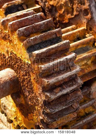 Rusty piñones