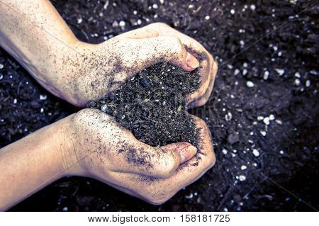 two female hands holding the earth in hands brown heart-shaped, I love the earth, the hands are in the right part of the photo processed,