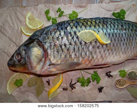 fish carp lies on paper with spices and lemon