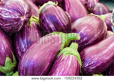 Closeup of many eggplants on market stall